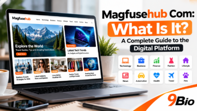 Magfusehub Com
